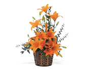 Asiatic Lilies, picture