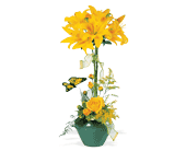 Lily Topiary, picture