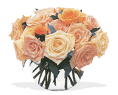 Perfect Pastel Roses, picture
