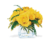 Yellow Rose Bravo!, picture