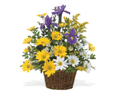 Smiling Spring Basket, picture