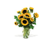 Shining Sunflowers, picture