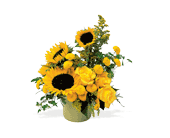 A Pot of Sunflowers, picture
