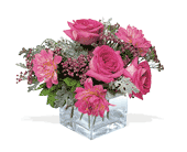 Perfect Pink Harmony, picture