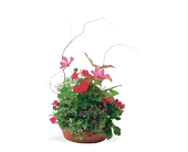 Summer Garden Planter, picture