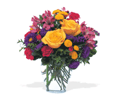 Brighten Your Day, picture