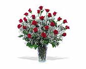 Field of Roses, picture