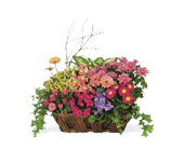Deluxe European Garden Basket, picture