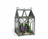 Terrarium, picture
