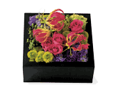 Pav� Texture Square, picture