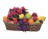 Plant and Fruit Basket, picture