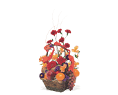 Fruits and Flowers Basket, picture