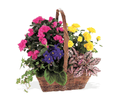 Blooming Garden Basket, picture