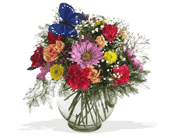 Teleflora's Butterfly & Blossoms Vase, picture