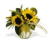 Teleflora's Sassy Sunflowers, picture