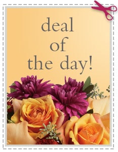Send eal of the Day - Biggest Freshest Arrangement