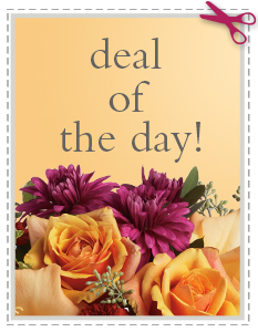 Send Fall Flowers -  Deal of the Day - Biggest Freshest Arrangement