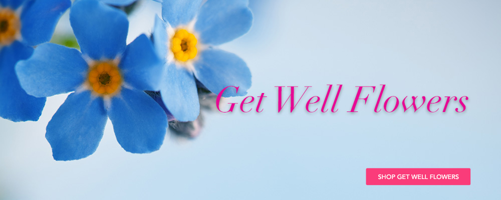 Get Flowers Delivery