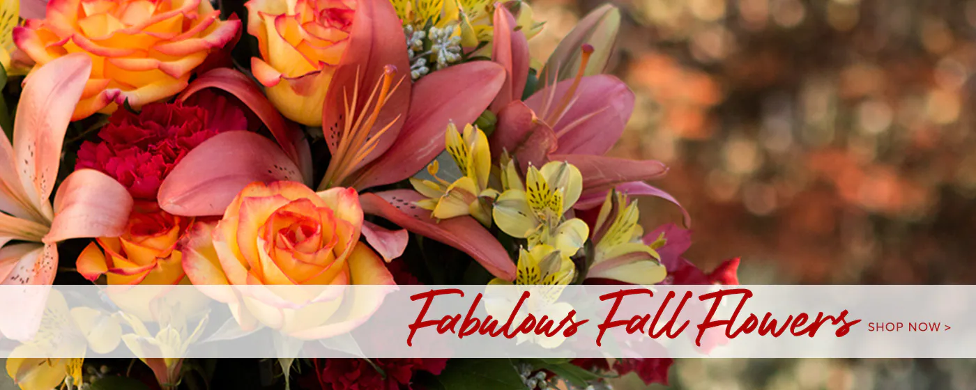 Send Fall Flowers