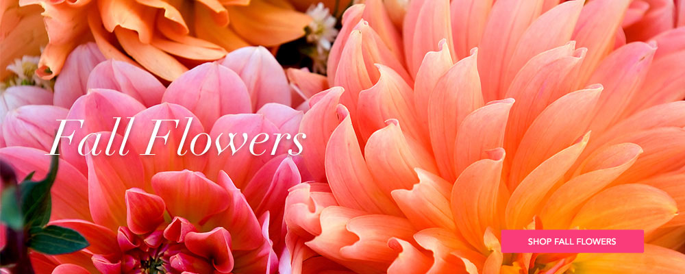 Deliver Fall Flowers