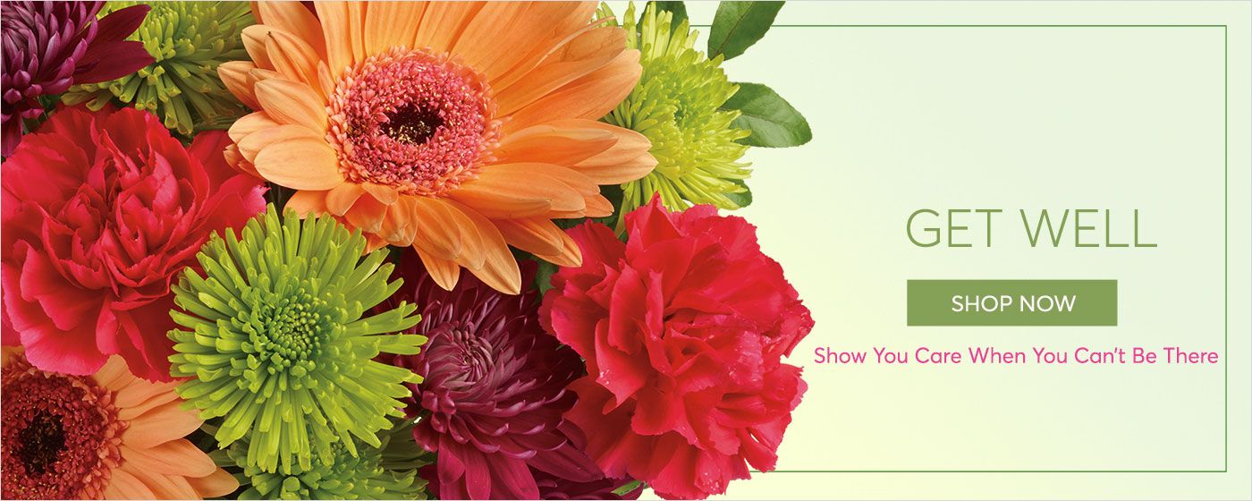 Get well flower delivery, Show you care when you can't be there