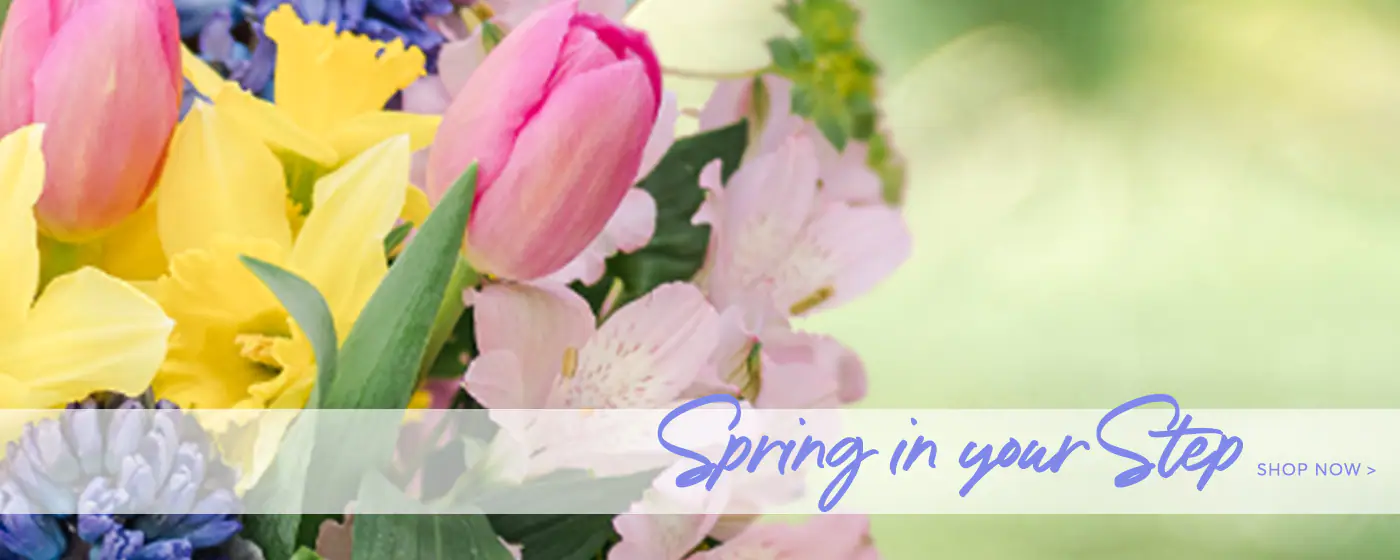 Flower Delivery to Sewell by Lamp Light Florist And Gift