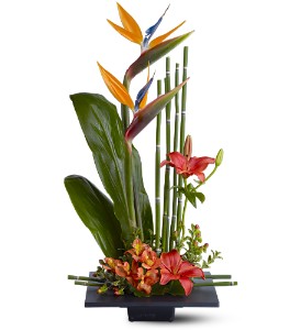 Paradise Found in Sewell�NJ, Lamp Light Florist And Gift
