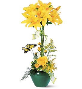 Lily Topiary in Sewell�NJ, Lamp Light Florist And Gift