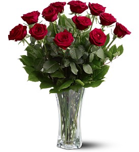 A Dozen Premium Red Roses in Sewell NJ, Lamp Light Florist And Gift
