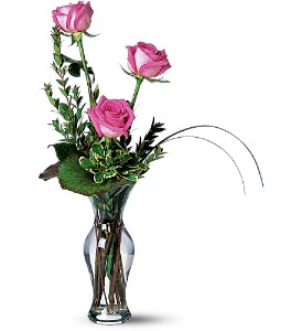 Tender Trio in Sewell NJ, Lamp Light Florist And Gift