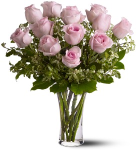 A Dozen Pink Roses in Sewell NJ, Lamp Light Florist And Gift