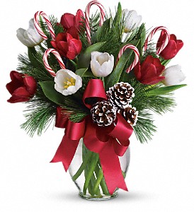By Golly It's Jolly in Sewell NJ, Lamp Light Florist And Gift