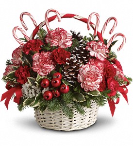 Candy Cane Christmas in Sewell NJ, Lamp Light Florist And Gift