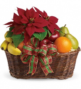 Fruit and Poinsettia Basket in Sewell NJ, Lamp Light Florist And Gift