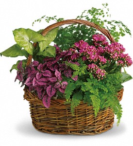 Secret Garden Basket in Sewell NJ, Lamp Light Florist And Gift