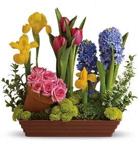 Spring Favorites in Sewell NJ, Lamp Light Florist And Gift