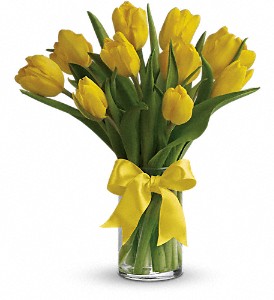 Sunny Yellow Tulips in Sewell NJ, Lamp Light Florist And Gift