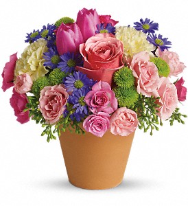 Spring Sonata in Sewell NJ, Lamp Light Florist And Gift