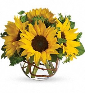 Sunny Sunflowers in Sewell NJ, Lamp Light Florist And Gift