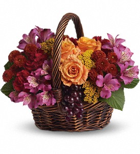 Sending Joy in Sewell NJ, Lamp Light Florist And Gift