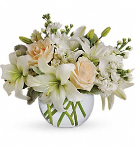 Isle of White in Sewell NJ, Lamp Light Florist And Gift