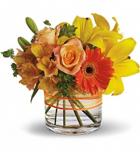 Sunny Siesta in Sewell NJ, Lamp Light Florist And Gift