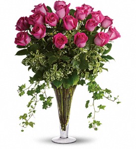 Dreaming in Pink - Long Stemmed Pink Roses in Sewell NJ, Lamp Light Florist And Gift