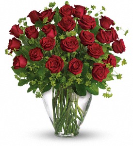 My Perfect Love - Long Stemmed Red Roses in Sewell NJ, Lamp Light Florist And Gift