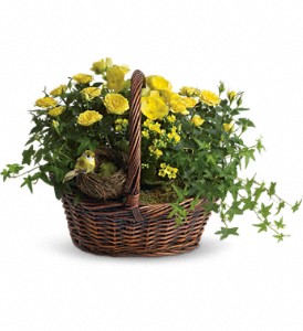 Yellow Trio Basket in Sewell NJ, Lamp Light Florist And Gift