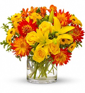 Summer Samba in Sewell NJ, Lamp Light Florist And Gift