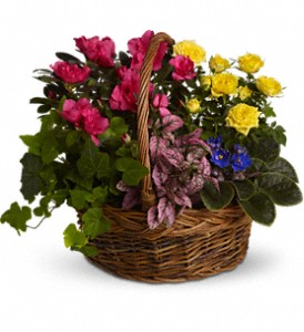 Blooming Garden Basket in Sewell NJ, Lamp Light Florist And Gift