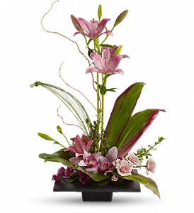 Imagination Blooms with Cymbidium Orchids in Sewell NJ, Lamp Light Florist And Gift