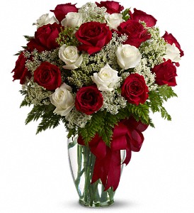 Love's Divine Bouquet - Long Stemmed Roses in Sewell NJ, Lamp Light Florist And Gift