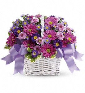 Daisy Daydreams in Sewell NJ, Lamp Light Florist And Gift